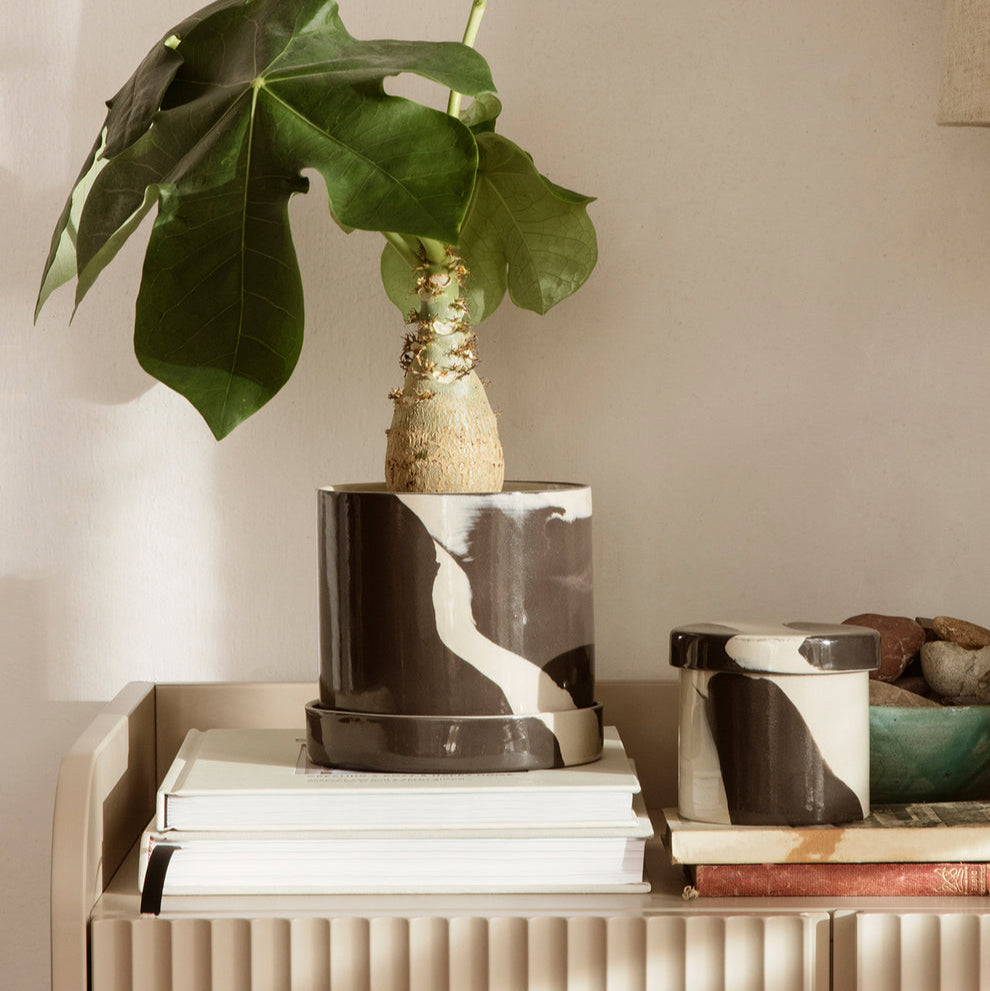 Inlay Container - Small