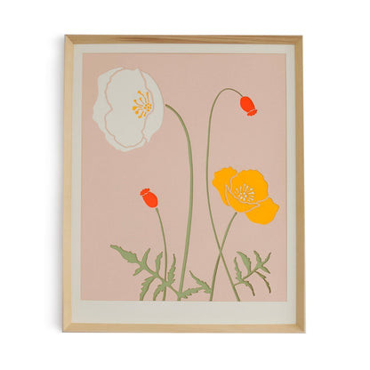 Orange Iceland Poppy 18&