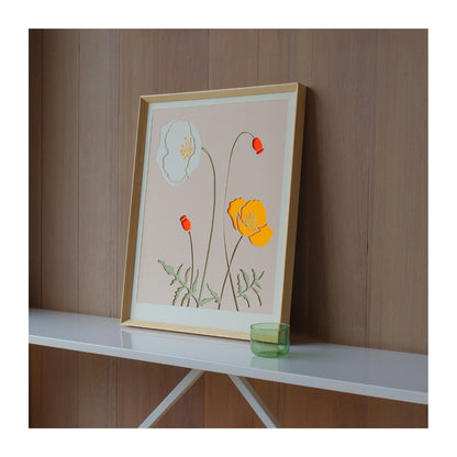 Orange Iceland Poppy 18&
