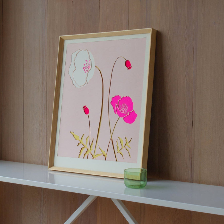 Pink Iceland Poppy