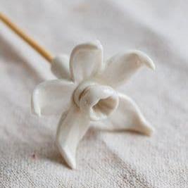 Porcelain Daffodil Diffuser Wood Stick