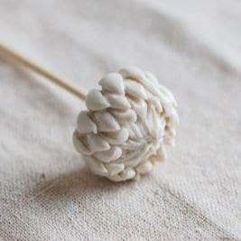 Porcelain Protea Diffuser Wood Stick