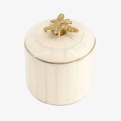 Queen Bee Circus Box