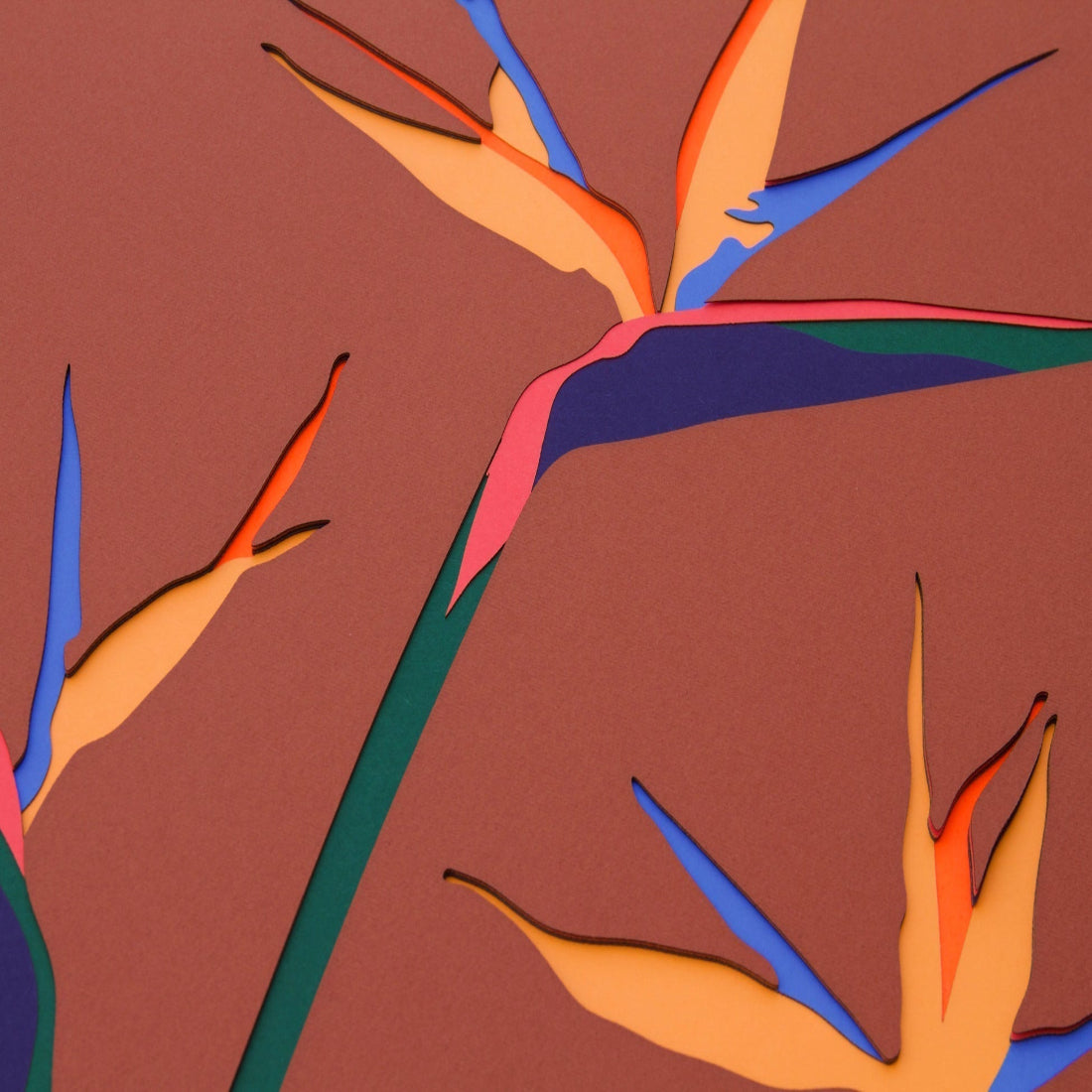 Rust Bird of Paradise